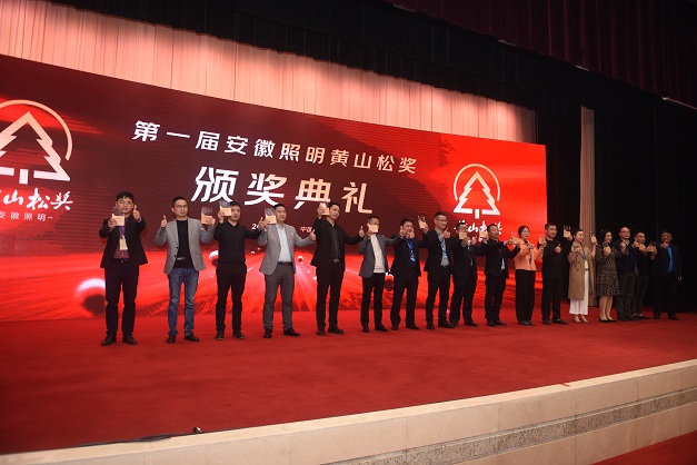 上海照明电器行业协会会长苏耀康为“优质照明工程奖”颁奖 